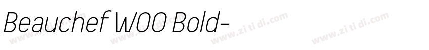 Beauchef W00 Bold字体转换 Beauchef W00 Bold字体转换